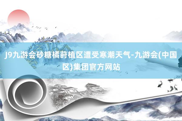J9九游会砂糖橘莳植区遭受寒潮天气-九游会(中国区)集团官方网站