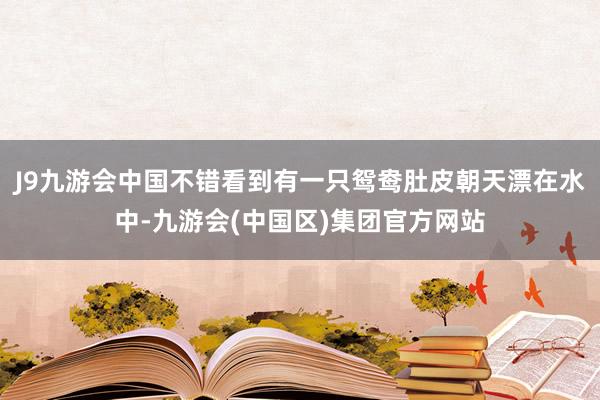 J9九游会中国不错看到有一只鸳鸯肚皮朝天漂在水中-九游会(中国区)集团官方网站