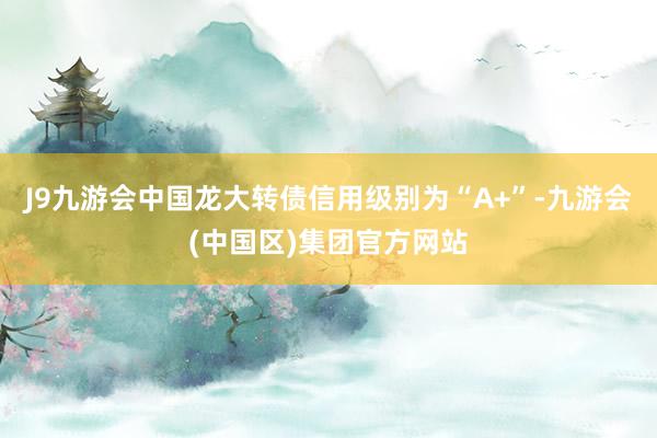 J9九游会中国龙大转债信用级别为“A+”-九游会(中国区)集团官方网站