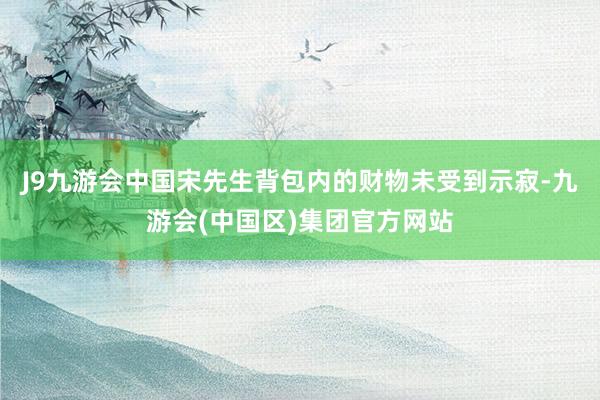 J9九游会中国宋先生背包内的财物未受到示寂-九游会(中国区)集团官方网站