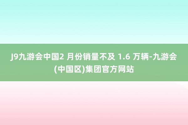 J9九游会中国2 月份销量不及 1.6 万辆-九游会(中国区)集团官方网站