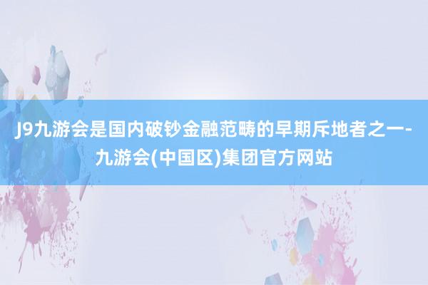 J9九游会是国内破钞金融范畴的早期斥地者之一-九游会(中国区)集团官方网站